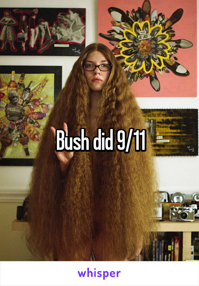 Bush did 9/11