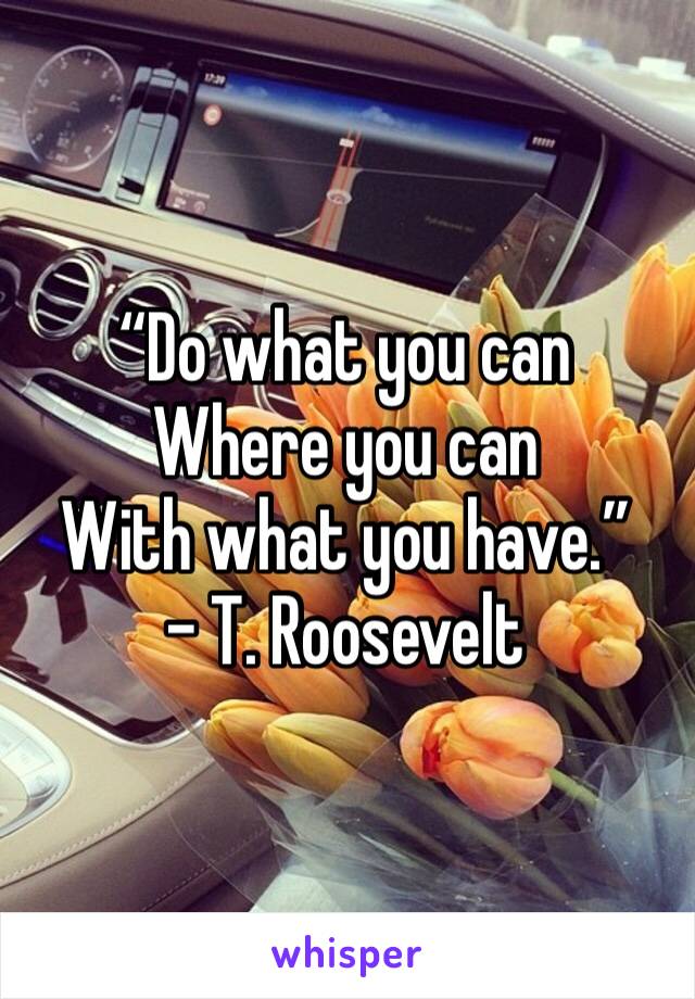 “Do what you can 
Where you can 
With what you have.”
- T. Roosevelt