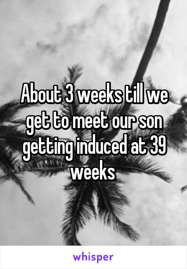 About 3 weeks till we get to meet our son getting induced at 39 weeks 