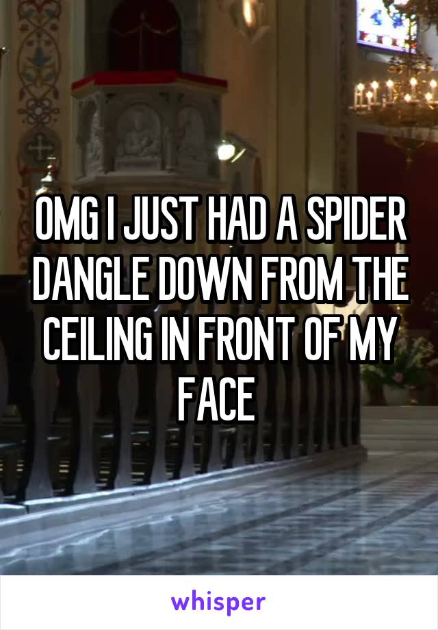 OMG I JUST HAD A SPIDER DANGLE DOWN FROM THE CEILING IN FRONT OF MY FACE 