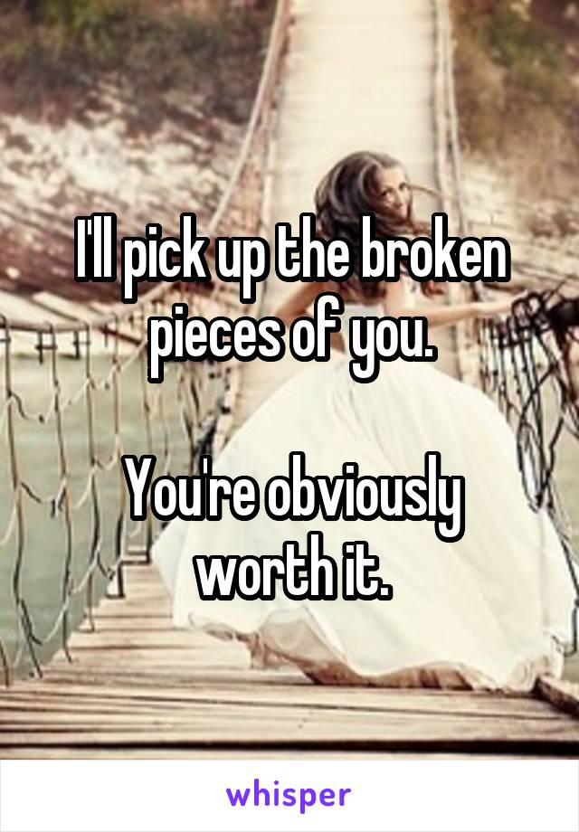 I'll pick up the broken pieces of you.

You're obviously worth it.