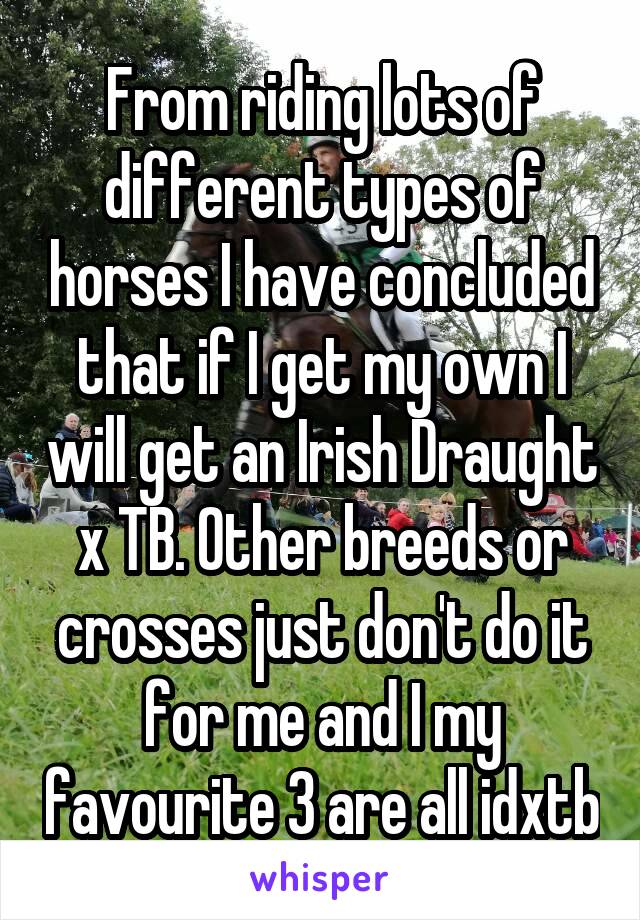 From riding lots of different types of horses I have concluded that if I get my own I will get an Irish Draught x TB. Other breeds or crosses just don't do it for me and I my favourite 3 are all idxtb