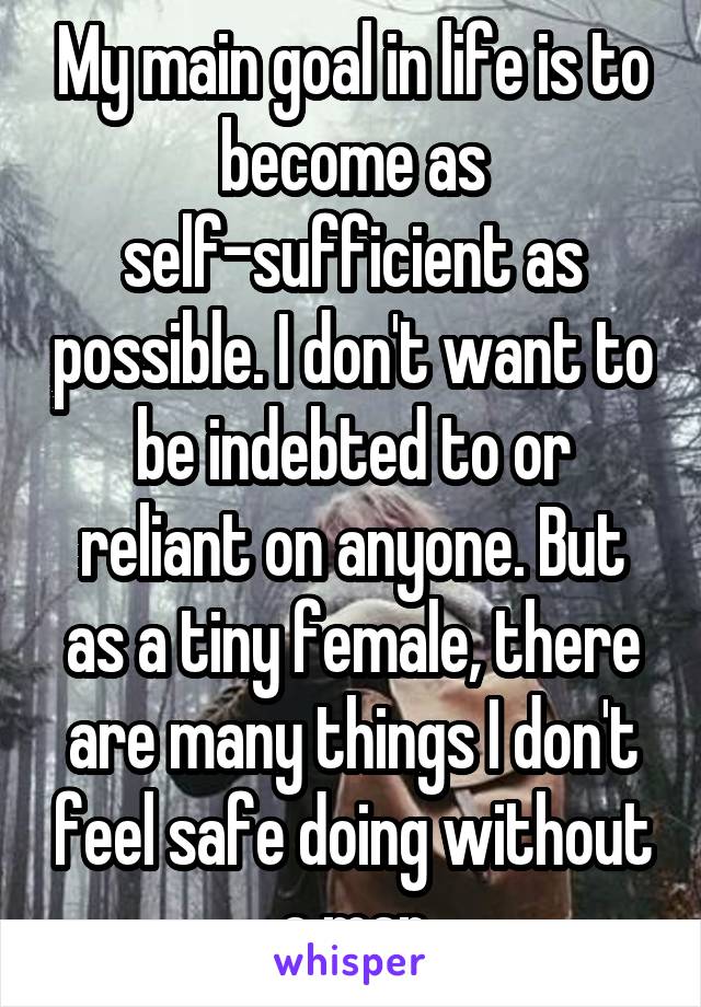 My main goal in life is to become as self-sufficient as possible. I don't want to be indebted to or reliant on anyone. But as a tiny female, there are many things I don't feel safe doing without a man