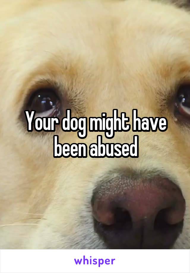 Your dog might have been abused