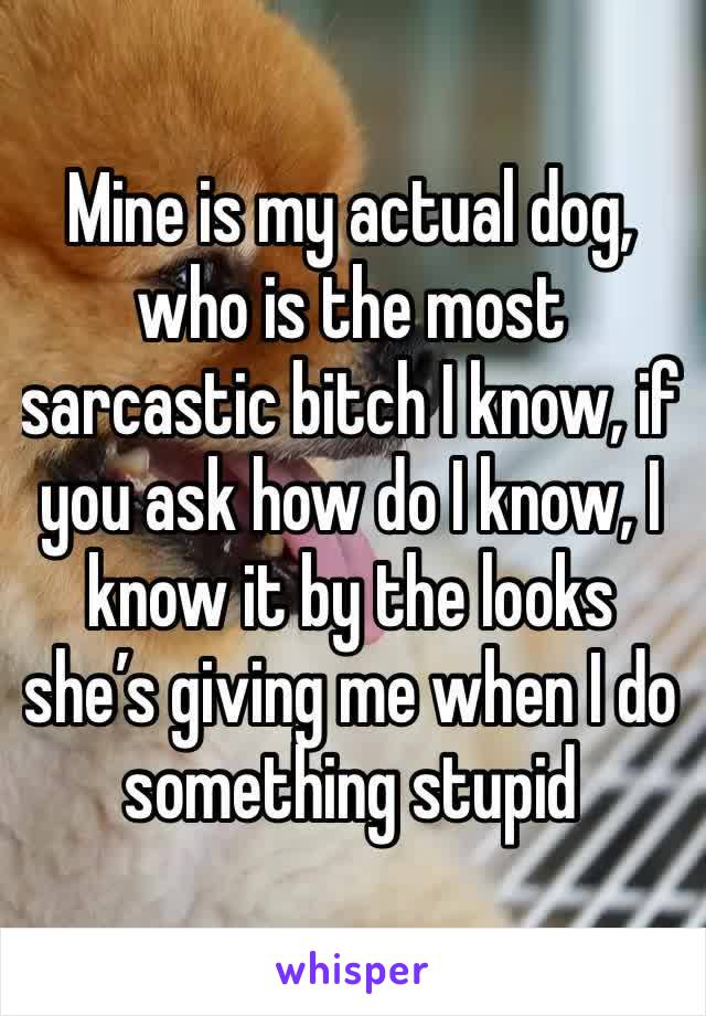 Mine is my actual dog, who is the most sarcastic bitch I know, if you ask how do I know, I know it by the looks she’s giving me when I do something stupid 