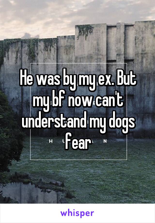 He was by my ex. But my bf now can't understand my dogs fear