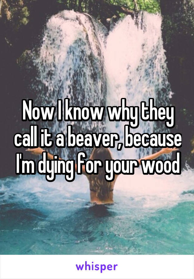 Now I know why they call it a beaver, because I'm dying for your wood