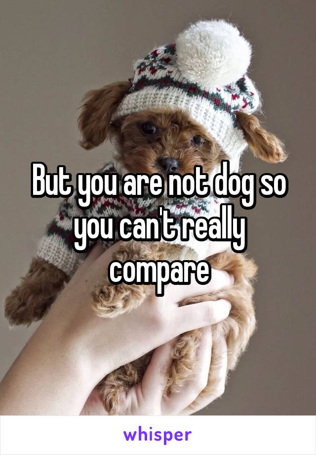 But you are not dog so you can't really compare