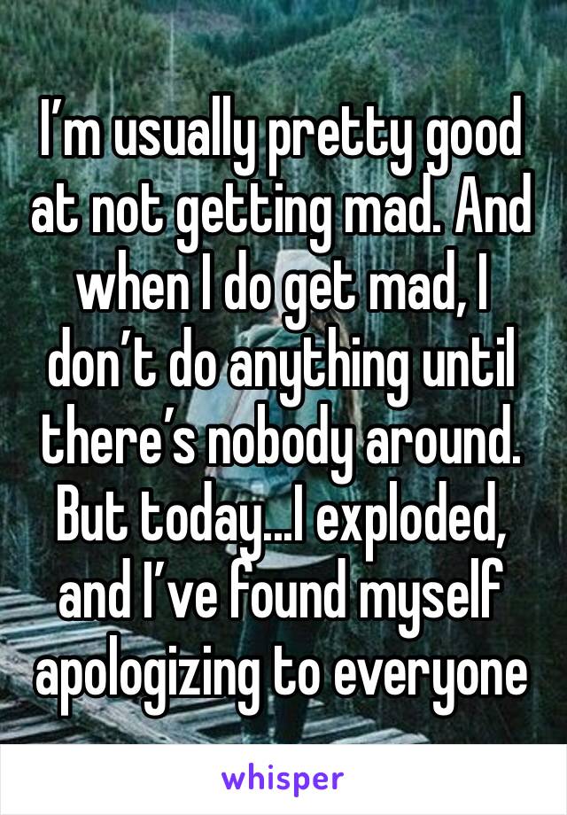 I’m usually pretty good at not getting mad. And when I do get mad, I don’t do anything until there’s nobody around.
But today...I exploded, and I’ve found myself apologizing to everyone