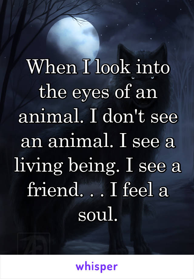 When I look into the eyes of an animal. I don't see an animal. I see a living being. I see a friend. . . I feel a soul.