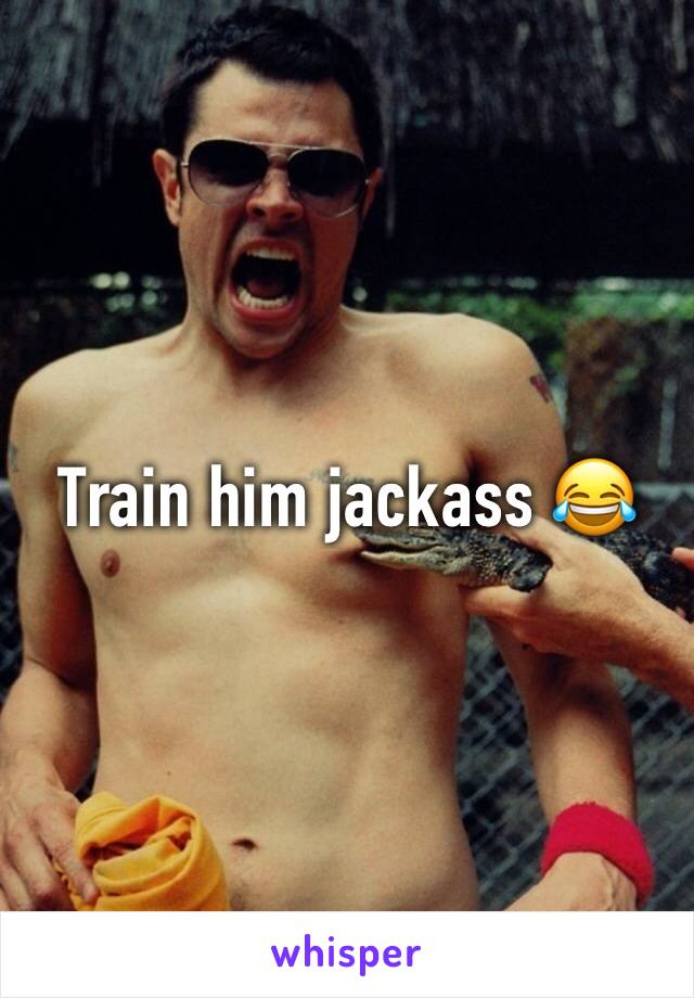 Train him jackass 😂