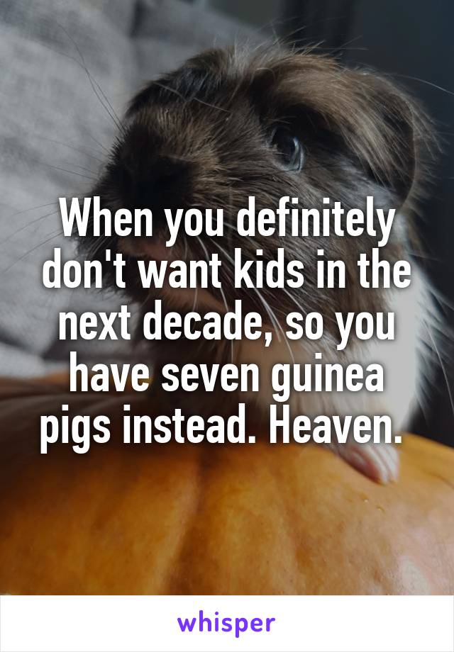 When you definitely don't want kids in the next decade, so you have seven guinea pigs instead. Heaven. 
