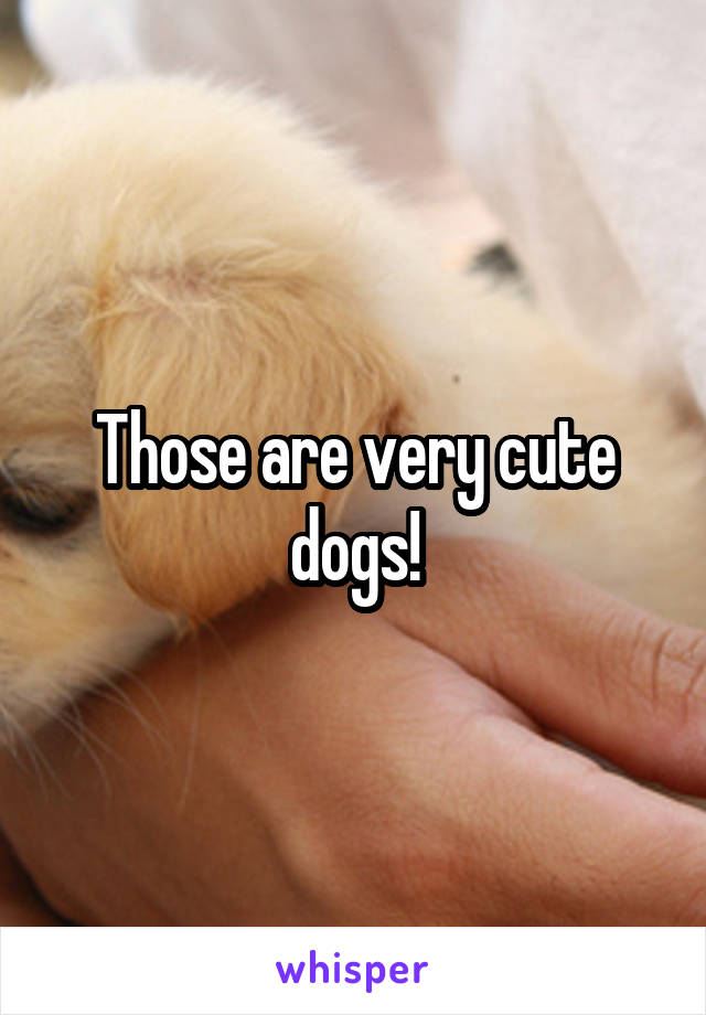 Those are very cute dogs!