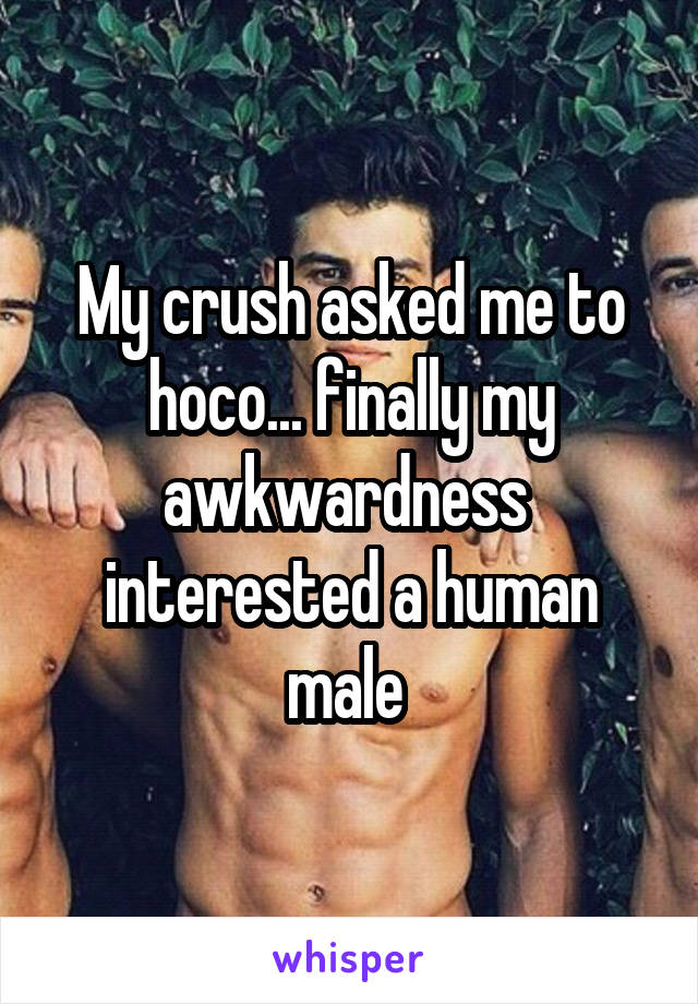 My crush asked me to hoco... finally my awkwardness  interested a human male 