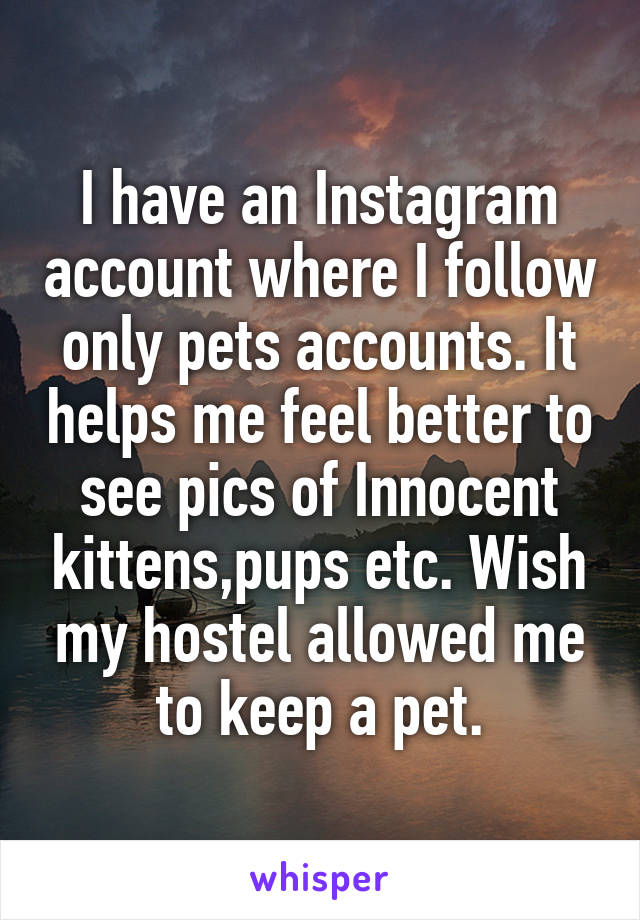 I have an Instagram account where I follow only pets accounts. It helps me feel better to see pics of Innocent kittens,pups etc. Wish my hostel allowed me to keep a pet.