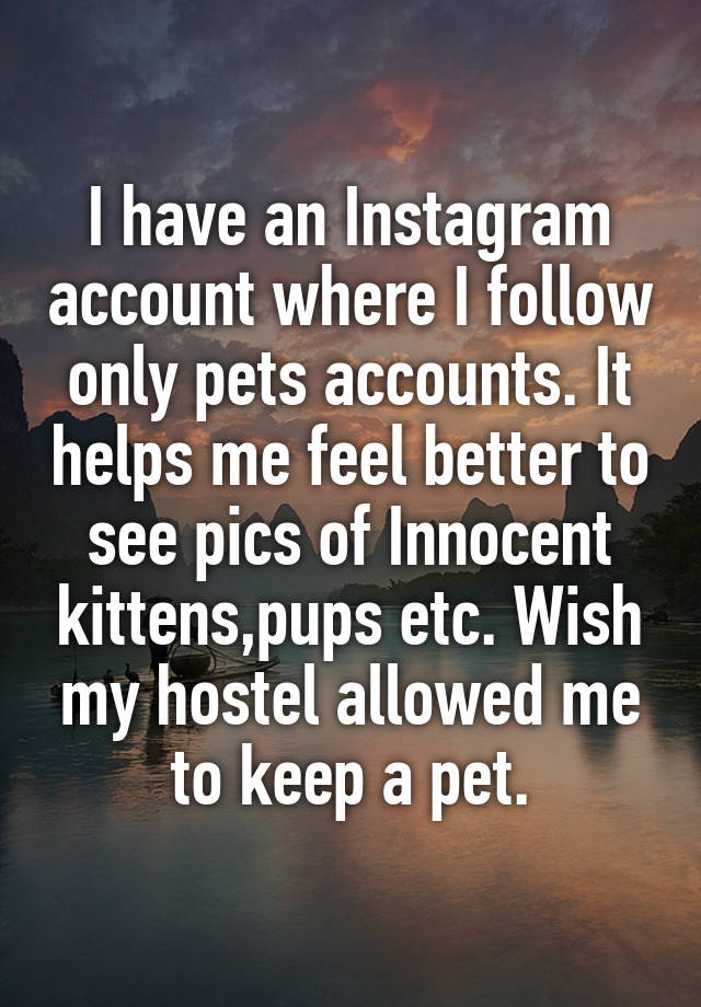 I have an Instagram account where I follow only pets accounts. It helps me feel better to see pics of Innocent kittens,pups etc. Wish my hostel allowed me to keep a pet.