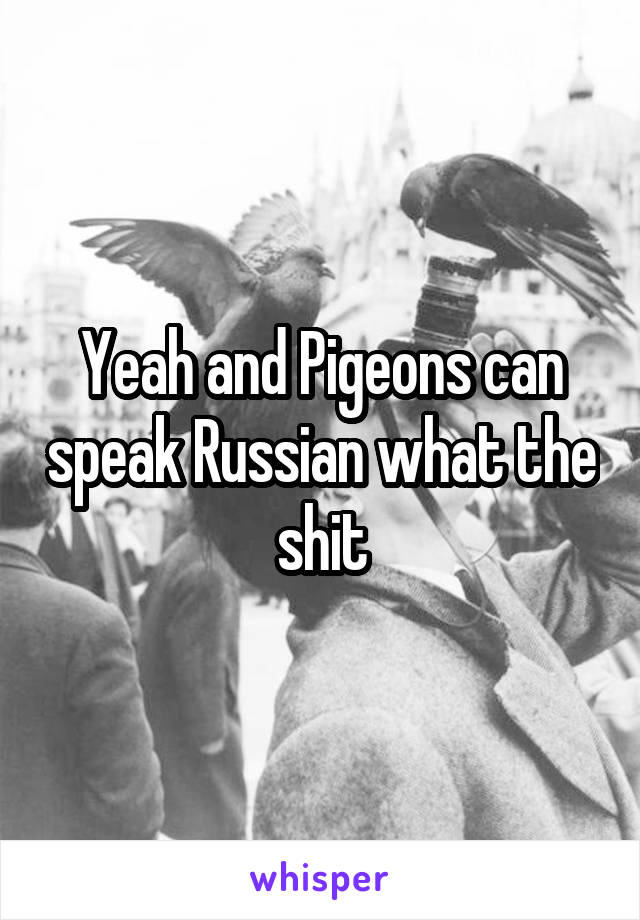 Yeah and Pigeons can speak Russian what the shit