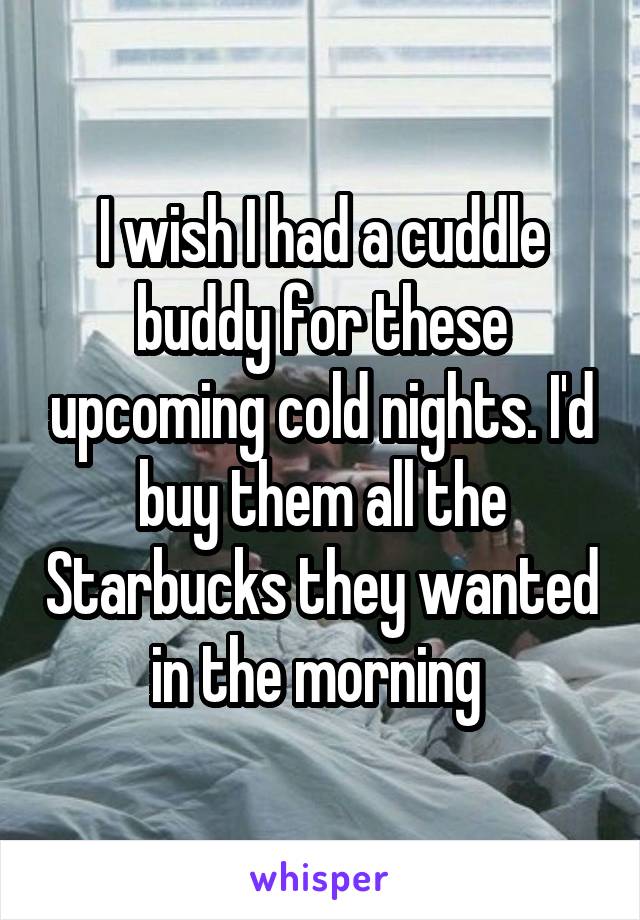 I wish I had a cuddle buddy for these upcoming cold nights. I'd buy them all the Starbucks they wanted in the morning 