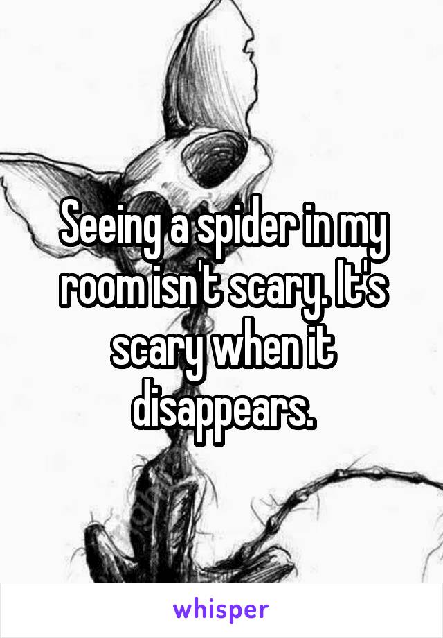 Seeing a spider in my room isn't scary. It's scary when it disappears.