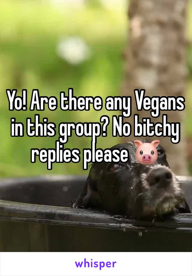 Yo! Are there any Vegans in this group? No bitchy replies please 🐷