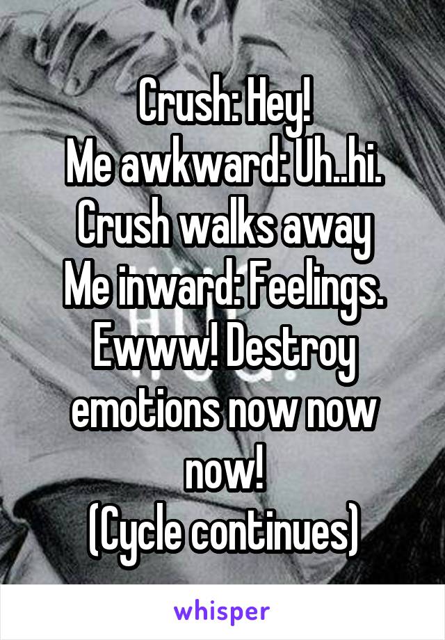 Crush: Hey!
Me awkward: Uh..hi.
Crush walks away
Me inward: Feelings. Ewww! Destroy emotions now now now!
(Cycle continues)