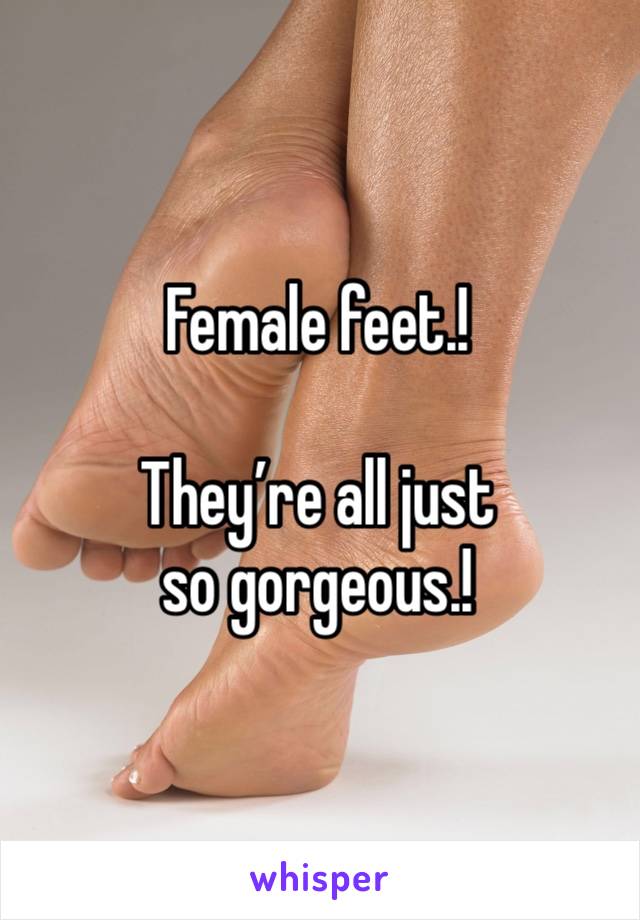 Female feet.!

They’re all just so gorgeous.!