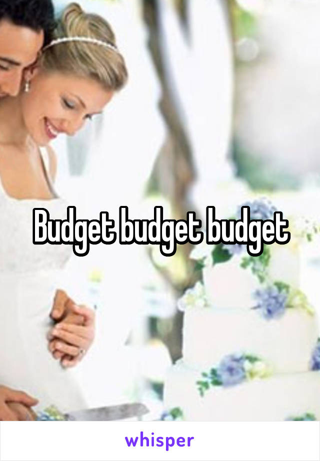 Budget budget budget