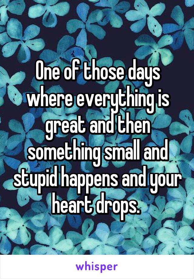 One of those days where everything is great and then something small and stupid happens and your heart drops. 