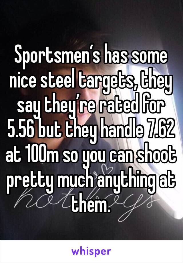Sportsmen’s has some nice steel targets, they say they’re rated for 5.56 but they handle 7.62 at 100m so you can shoot pretty much anything at them.
