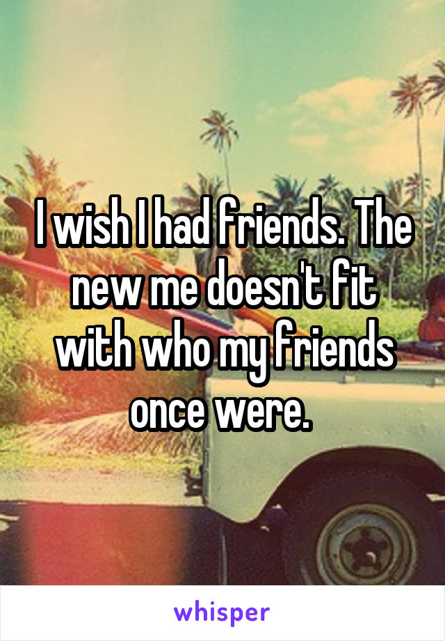 I wish I had friends. The new me doesn't fit with who my friends once were. 