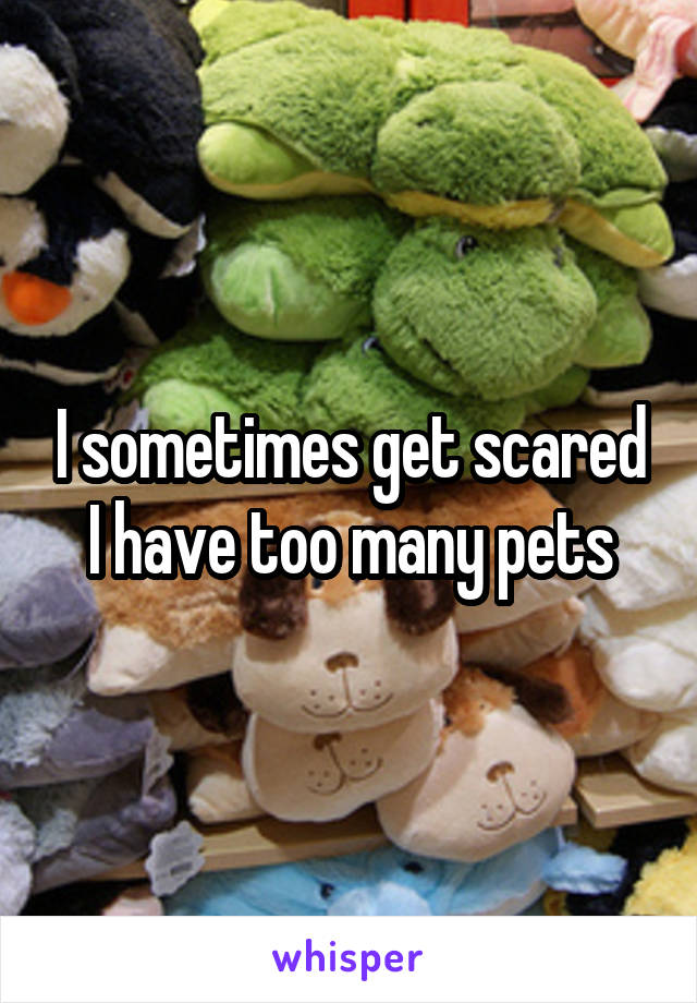 I sometimes get scared I have too many pets