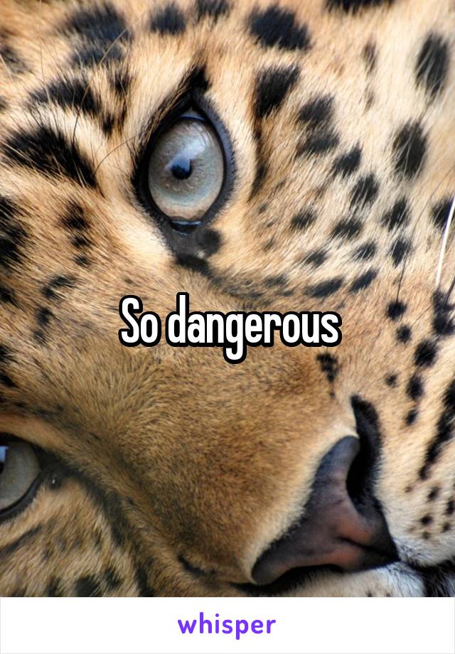 So dangerous