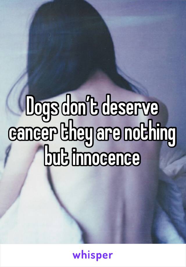 Dogs don’t deserve cancer they are nothing but innocence 