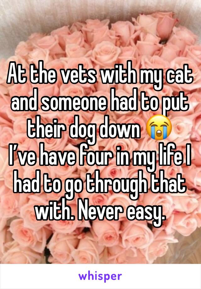 At the vets with my cat and someone had to put their dog down 😭
I’ve have four in my life I had to go through that with. Never easy.