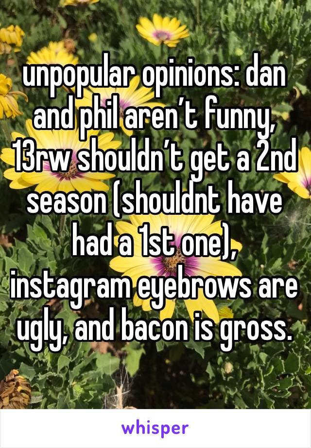 unpopular opinions: dan and phil aren’t funny, 13rw shouldn’t get a 2nd season (shouldnt have had a 1st one), instagram eyebrows are ugly, and bacon is gross.