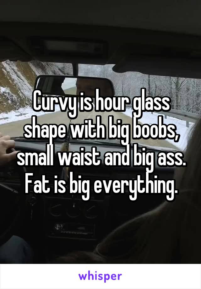 Curvy is hour glass shape with big boobs, small waist and big ass.
Fat is big everything.