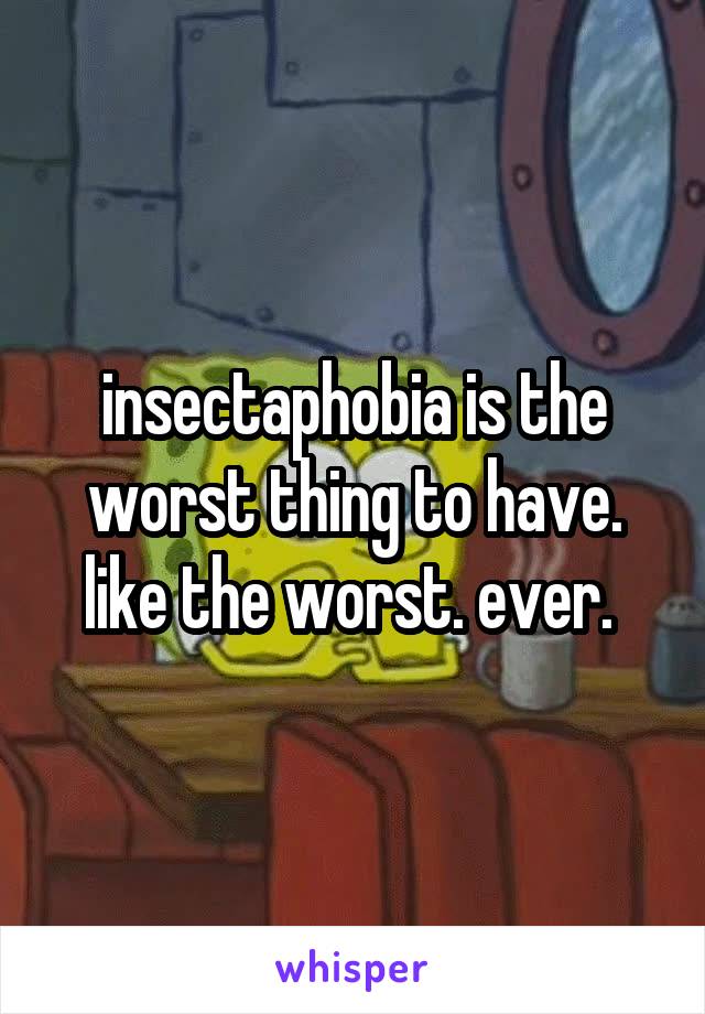 insectaphobia is the worst thing to have. like the worst. ever. 