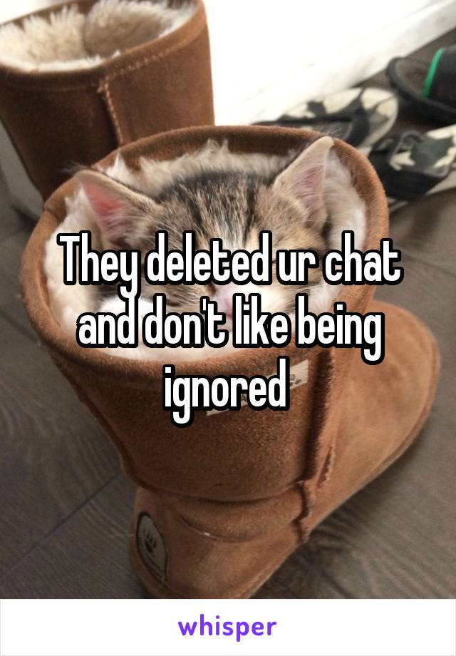 They deleted ur chat and don't like being ignored 