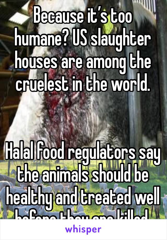 Because it’s too humane? US slaughter houses are among the cruelest in the world. 


Halal food regulators say the animals should be healthy and treated well before they are killed.