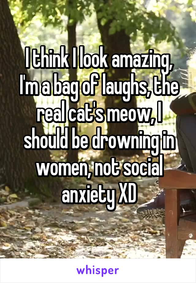 I think I look amazing,
I'm a bag of laughs, the real cat's meow, I should be drowning in women, not social anxiety XD
