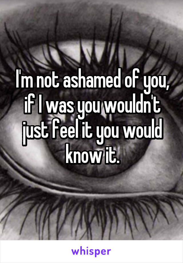 I'm not ashamed of you, if I was you wouldn't just feel it you would know it.
