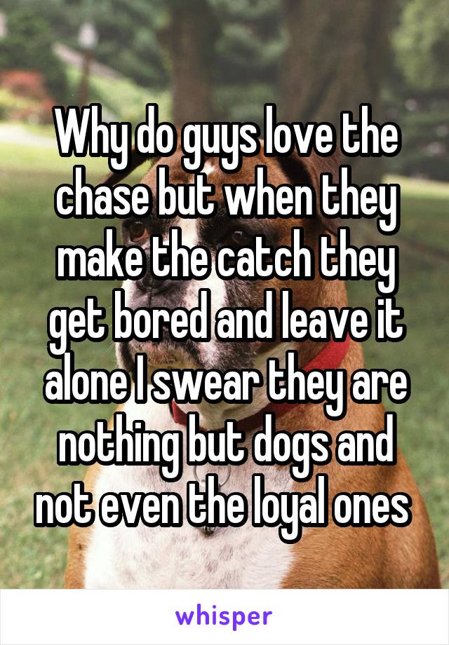 Why do guys love the chase but when they make the catch they get bored and leave it alone I swear they are nothing but dogs and not even the loyal ones 