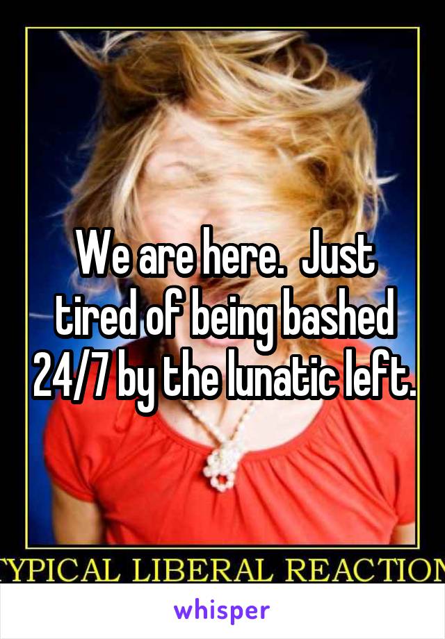 We are here.  Just tired of being bashed 24/7 by the lunatic left.