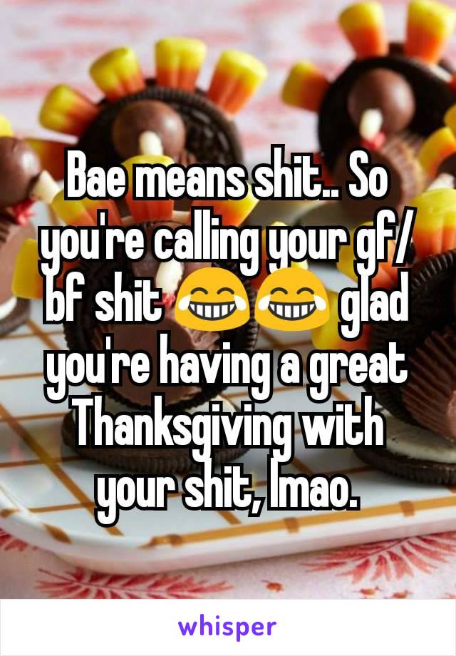 Bae means shit.. So you're calling your gf/bf shit 😂😂 glad you're having a great Thanksgiving with your shit, lmao.