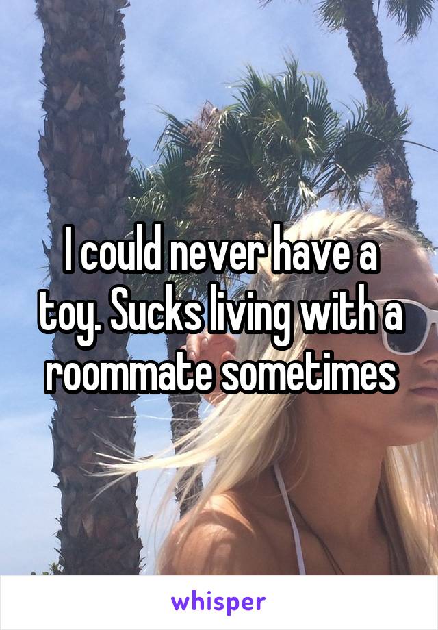 I could never have a toy. Sucks living with a roommate sometimes