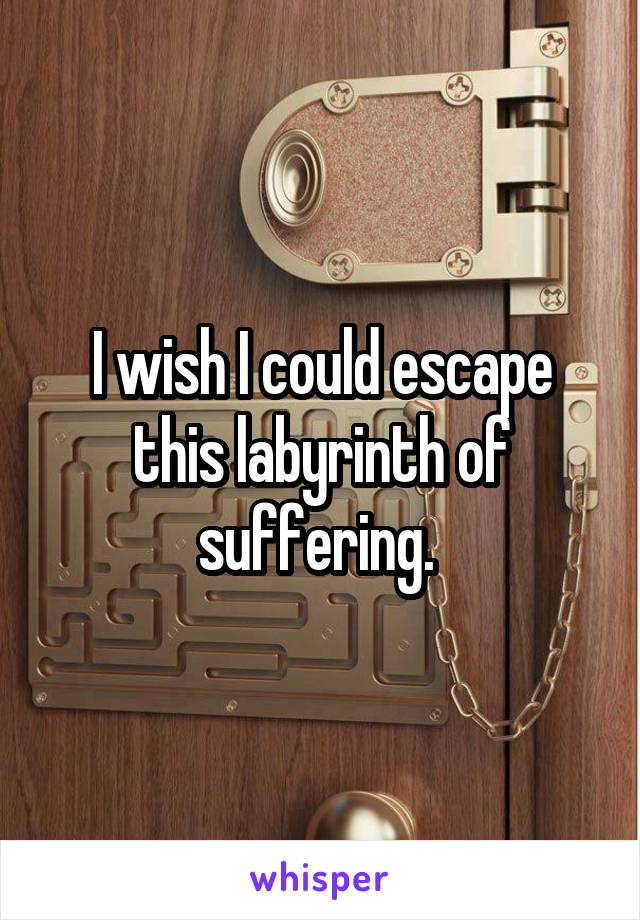I wish I could escape this labyrinth of suffering. 