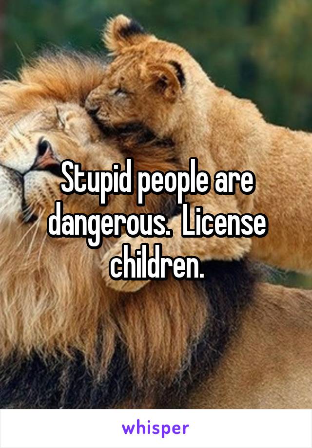 Stupid people are dangerous.  License children.