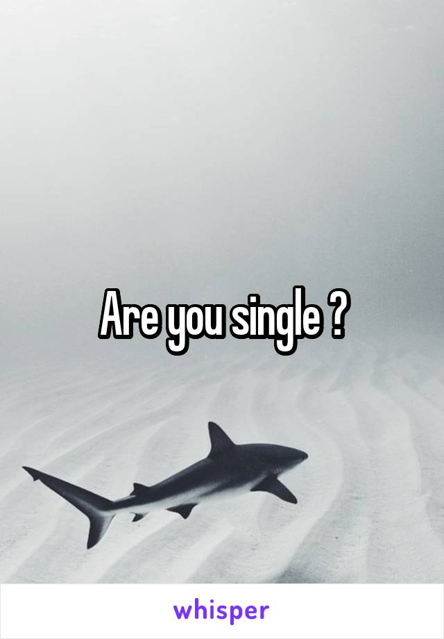 Are you single ?