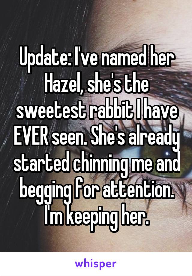 Update: I've named her Hazel, she's the sweetest rabbit I have EVER seen. She's already started chinning me and begging for attention. I'm keeping her.