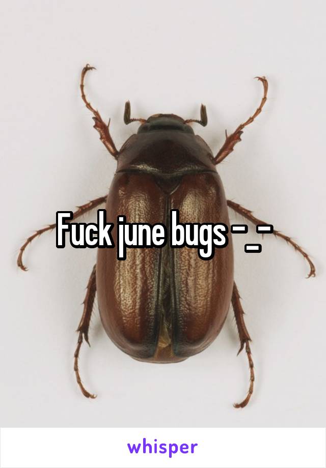 Fuck june bugs -_-